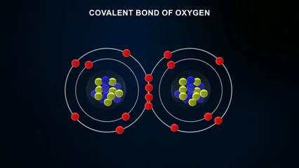 Foto op Canvas Covalent Bond of Oxygen 3d illustration © 7activestudio