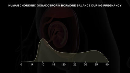 Human chorionic gonadotropin hormone balance during pregnancy graph 3d illustrator  - obrazy, fototapety, plakaty