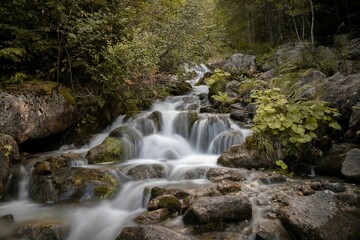 Long exposure view of water cascading over rocks in a forest