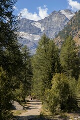 Vertical shot of people hiking in the forested mountains