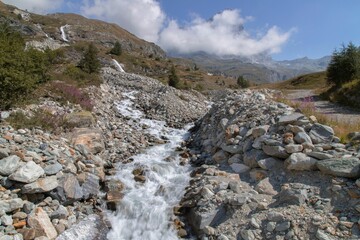 Closeup shot of a mountain stream on a sunny summer day