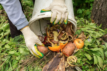 Compost heap pile with bio waste. Farmer hands put weeds grass plants, vegetable fruit scraps from...