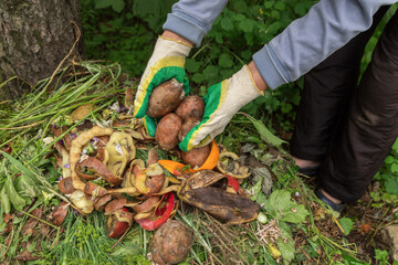 Compost heap pile with bio waste close up. Farmer gardener hands put potato vegetables, fruits...