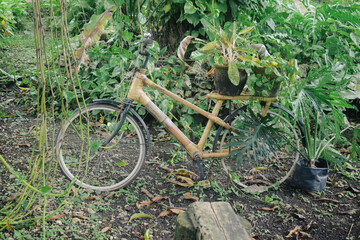 old bicycle on grass