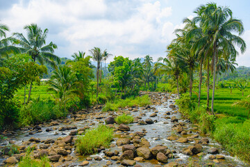 Obraz premium shallow river water with medium-sized rocks in the morning 