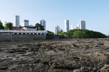 Felsen im Wattenmeer an der Küste von der City von Panama-Stadt