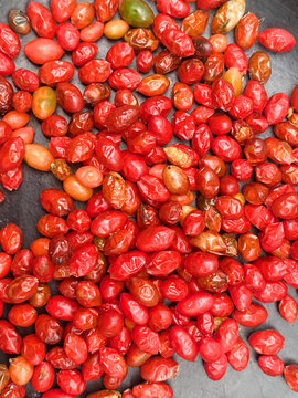 Picante Guagua Tropical Colombiana