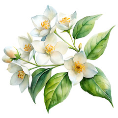 Fototapeta premium a picture of a flower with the words