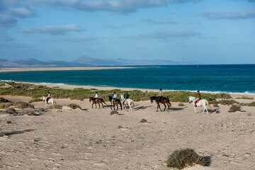 Group of riders on their horses in the desert and dunes along the beaches of Fuerteventura