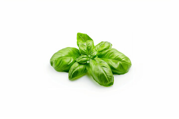 Fototapeta premium High-quality image of isolated basil leaves on a crisp white background, perfect for design and culinary uses
