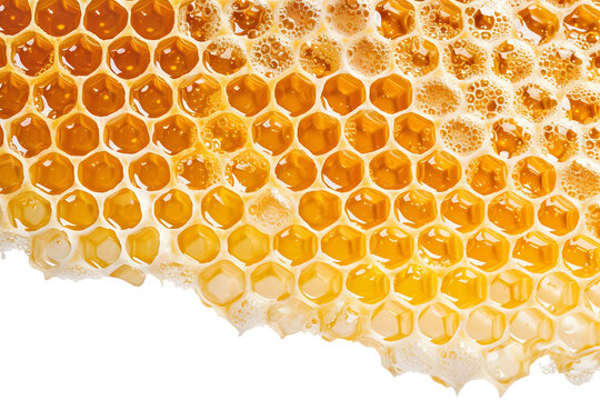 bee honeycomb closeup, fresh stringy dripping sweet honey, macro background.