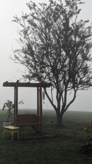 Vertical shot of tree and bench with small table in the fog on a summer morning
