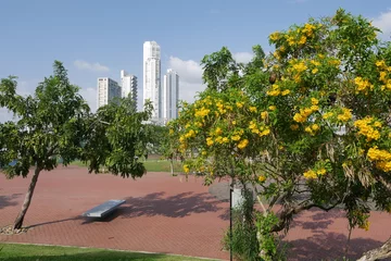Deurstickers Parkanlage an der Promenade Cinta Costera an der Küste in Panama-Stadt © Falko Göthel