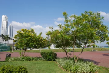 Foto op Plexiglas Grünanlage der Promenade Cinta Costera in der Stadt Panama City © Falko Göthel