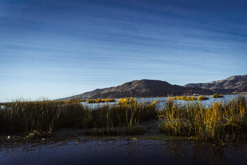 Fototapeta premium view of the lake titicaca