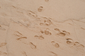 Fototapeta na wymiar Sand with footprints on Rio Vermelho beach in Salvador, Bahia, Brazil