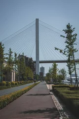 Deken met patroon Nanpubrug Vertical of the Bund Pudong side walking path to NanPu Bridge in Shanghai, China