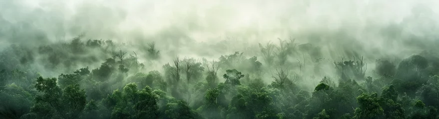  A wide panorama of a dense, foggy forest, with a white background and soft green tones. A misty forest landscape with a grey sky and green trees, showing a panoramic view in the fog © Sabina Gahramanova