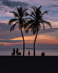 Silhouette of palms and people in beach of Santa Marta in background of sea during sunset