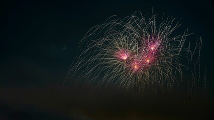 Scenic shot of pink fireworks in the night sky, holidays and celebration