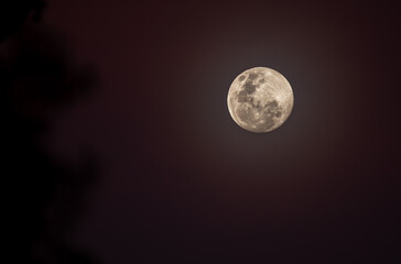 Fototapeta premium Full moon in the sky