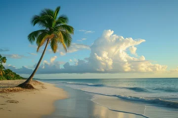 Photo sur Plexiglas Anse Source D'Agent, île de La Digue, Seychelles Tropical Beach palm. Nature day resort. Generate Ai