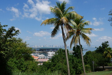 Insel Flamenco bei Amador mit Palmen und Blick nach Panama-Stadt in Panama