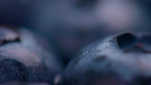 Group of fresh blueberries with shallow depth of field background