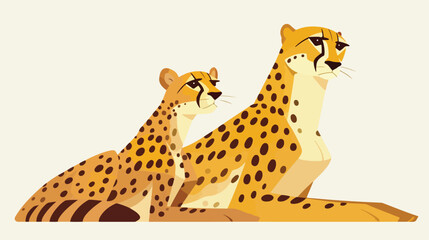 Two cheetah on white background 2d flat cartoon vac