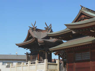 Fototapeta na wymiar 日本の神社。 拝殿後ろの本殿。 屋根の飾りから男神の本殿。 倉敷市福田神社。