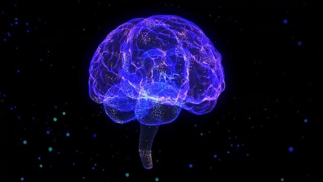 Human brain. Nervous system mesh of human 3d model brain.