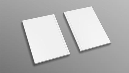 3D Two Blank Magazines. Front And Back Cover