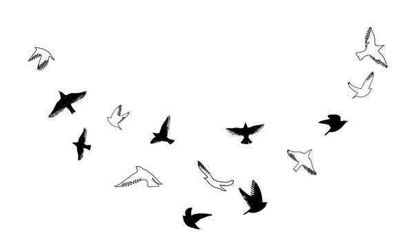 Flying birds silhouette flock. hand drawing. Not AI, Vector illustration