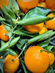 close-up of fresh mandarins with their green leaves on the display of an organic produce store
