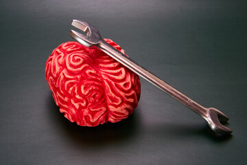 A wrench on top of a red fake brain. Concept of fixing your mind.