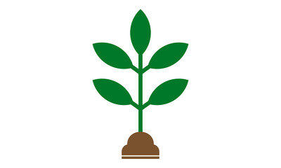 vector plant in pot illustration