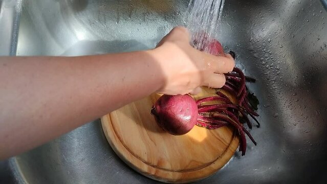 Unas manos de mujer lavando  unas remolachas de color blanco con agua en un fregadero