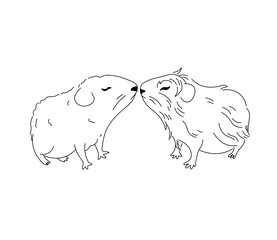Vector isolated two pair couple guinea pigs kiss side view  colorless black and white contour line easy drawing