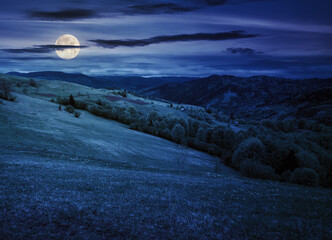 grassy meadow in carpathian mountains at night. wonderful countryside scenery with forested hills in full moon light