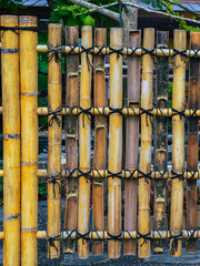Old bamboo fence in Japan held together with black rope tied in ribbon. Beautiful and simple background of bamboo. rope tied bamboo fence. Pattern or texture of bamboo wall. Yellow Bamboo background.