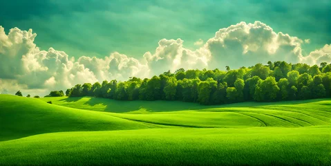 Poster Minimalist photography capturing a sunny summer landscape with lush green vegetation © karandaev