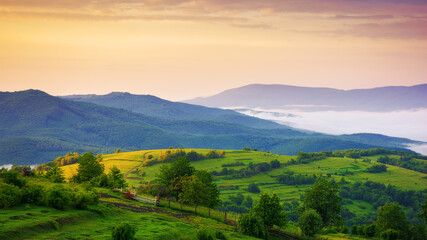 carpathian countryside scenery on a sunny morning in summer. mountainous landscape with grassy rural fields and meadows. fog in the distant valley. clouds above the mountains