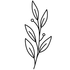 Wildflower Line Art Vector Illustration