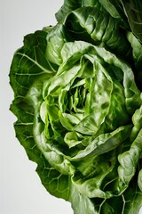 Fototapeta premium Green fresh lettuce leaves isolated on gray background, macro photo