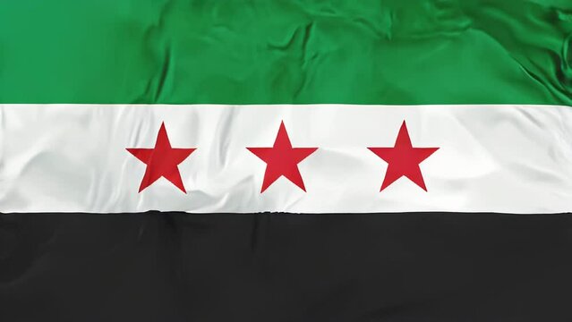 Syria Independence National Coalition Flag, rippled isolated on white background illustration. Used by the Syrian National Coalition and Syrian Interim Government.
