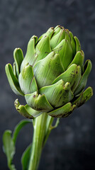 Fototapeta premium Fresh green artichoke isolated on dark grey background. Organic italian vegetable food
