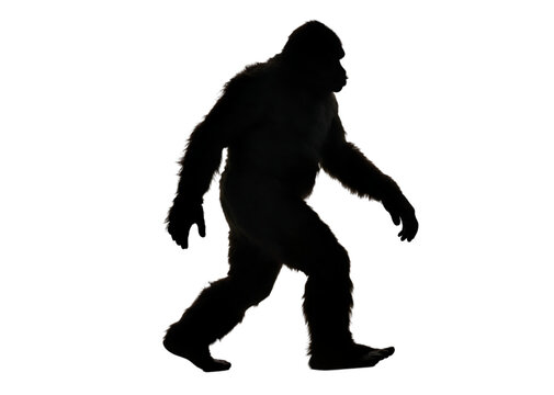 recommend clip art: flat bigfoot silhouettes