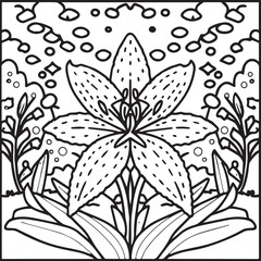 Lily coloring pages. Lily flower outline vector for coloring book