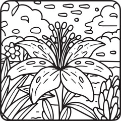 Lily coloring pages. Lily flower outline vector for coloring book