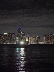 Fototapeta premium city skyline at night